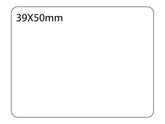 SELF ADHESIVE OFFICE LABEL-39X50mm - Al Masam Stationery LLC