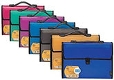 Foldermate Expanding file 13 Pocket A4 - Al Masam Stationery LLC