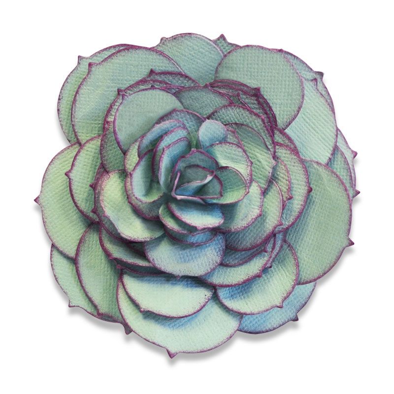 Bigz Die Succulent By Sophie Guilar - Al Masam Stationery LLC