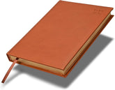 FIS Brown A5 Gold-Edge PU 2026 Daily Diary - FSDI20AEG26BR