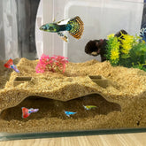 ELMAS Aquarium Cave Hiding Cave For Aquatic Pets - Al Masam Stationery LLC