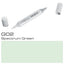 Copic Sketch Marker G02 Spectrum Green - Al Masam Stationery LLC
