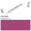 Copic Sketch Marker Rv66 Raspberry - Al Masam Stationery LLC