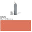 Copic Ink E09 - (COP INKE09) - Al Masam Stationery LLC