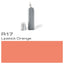 Copic Ink R-17 - Al Masam Stationery LLC