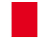 Elco Office Paper Intense Red A4 - Al Masam Stationery LLC
