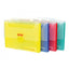 Expanding File Fullscap size - 12 Pockets with Handle - Elsoon - Al Masam Stationery LLC