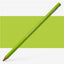 Holbein Colored Pencils Individual Apple Green - Al Masam Stationery LLC