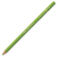 Holbein Colored Pencils Individual Leaf Green - Al Masam Stationery LLC
