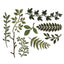 Thinlits Die Set 9Pk Garden Greens By Tim Holtz - Al Masam Stationery LLC