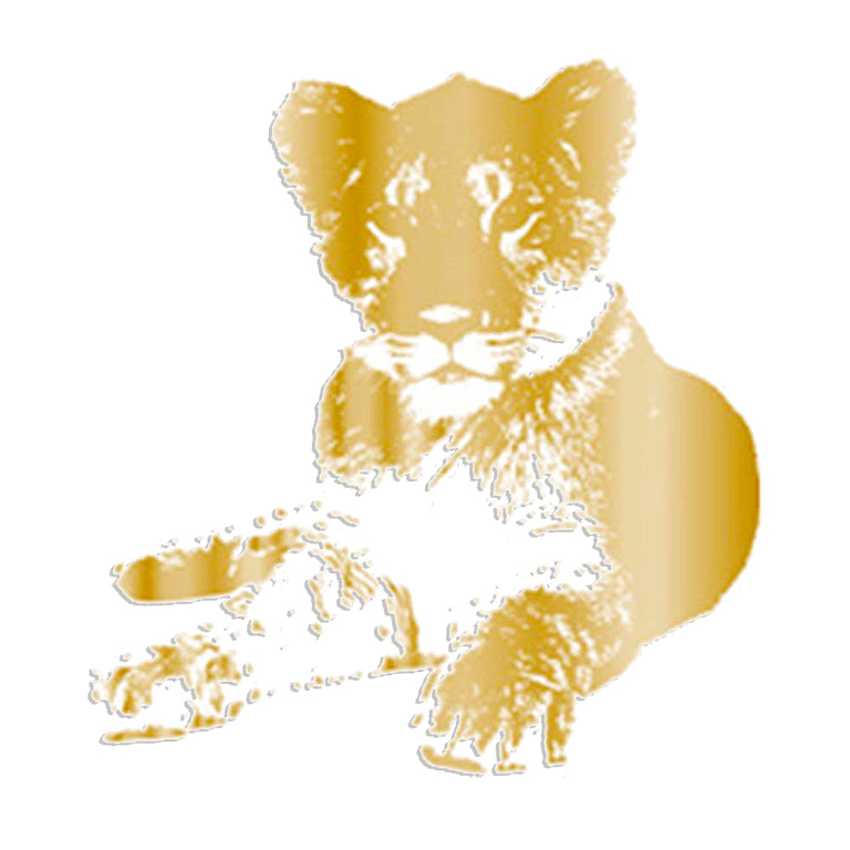 Tfd-Foil Transfer Lion Cub - Al Masam Stationery LLC