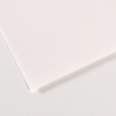 Canson Mi Teintes Pastel Paper 50 x 65cm 160GSM
