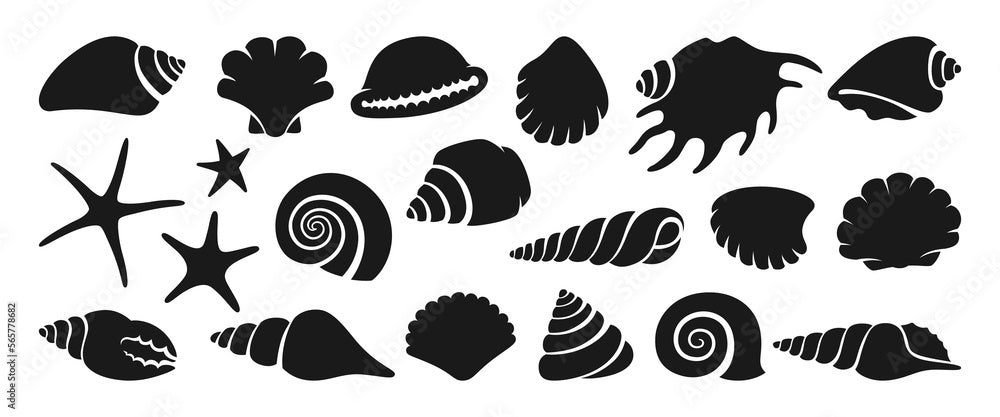 Sticky Stencil 15x13 | SEA SHELLS - Al Masam Stationery LLC