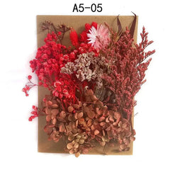 ELMAS Dried Pressed Flowers for DIY Crafts & Home Décor