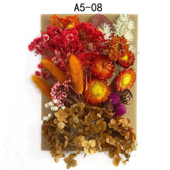 ELMAS Dried Pressed Flowers for DIY Crafts & Home Décor