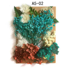 ELMAS Dried Pressed Flowers for DIY Crafts & Home Décor