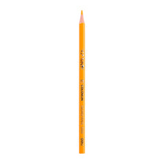 Deli Colored Pencil Tin Tube 12C