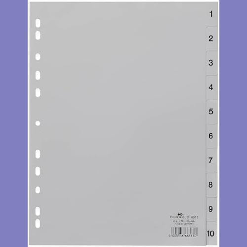 Atlas Yearly Plastic Divider A4 | File Organizer