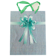 Gift Bag 4134-041 - Al Masam Stationery LLC