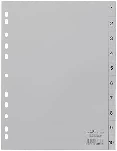 Atlas Yearly Plastic Divider A4 | File Organizer Secondary image
