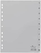 Atlas Yearly Plastic Divider A4 | File Organizer