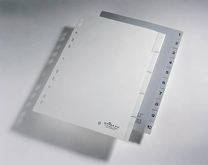 Atlas Yearly Plastic Divider A4 | File Organizer