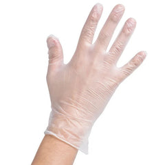 Vinyl Disposable Gloves (Large) - Powder Free