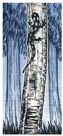 FABER-CASTELL India ink PITT artist pen SB4x - Al Masam Stationery LLC