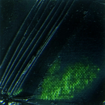 PEBEO XL FINE OIL 200 ML SAP GREEN - Al Masam Stationery LLC