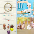 Sea Shells 100g for Crafts & Decoration