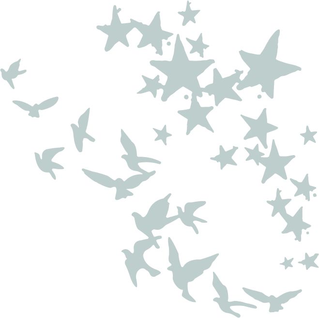 Thinlits Die Set 2Pk Birds And Stars By Pete Hughes - Al Masam Stationery LLC