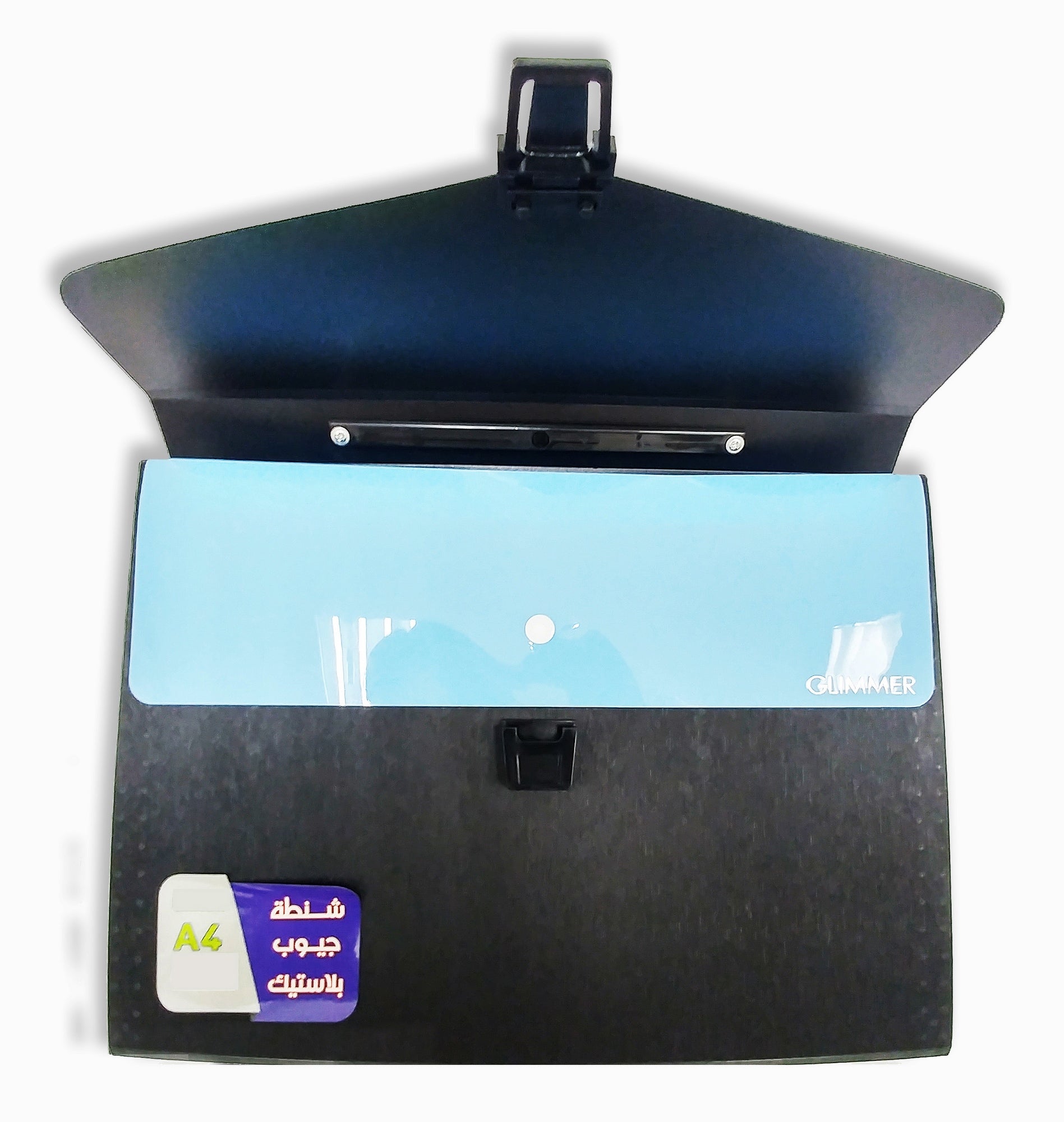 Expanding File A4 12 Pockets With Handle - Al Masam Stationery LLC