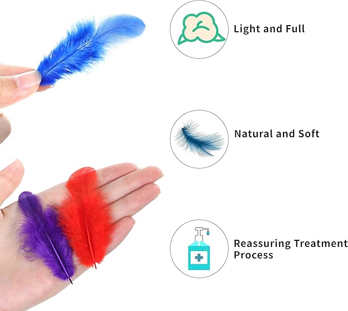 Assorted Colour Feathers for Crafts and DIY Decorations