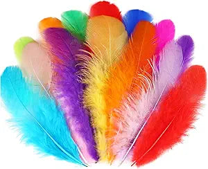 Assorted Colour Feathers for Crafts and DIY Decorations