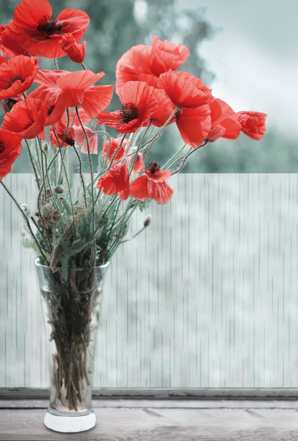 DC Fix 346-0536 Adhesive Cover Trans Printed 45cmx2m - Al Masam Stationery LLC