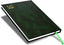 FIS Green A5 Vinyl 2026 Thu-Fri AE Agenda - FSDI90AER26GR