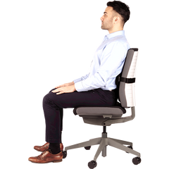 Fellowes I-Spire Series Lumbar Support - Black - Al Masam Stationery LLC