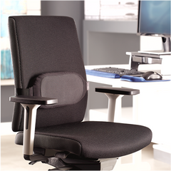 Fellowes I-Spire Series Lumbar Support - Black - Al Masam Stationery LLC