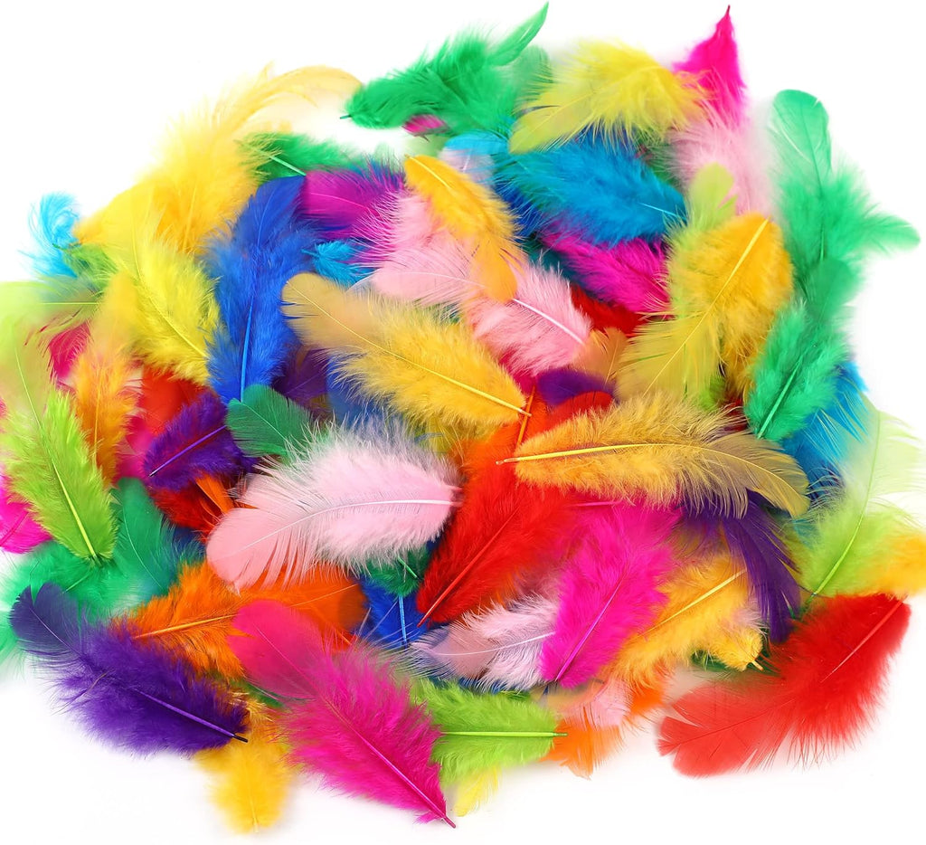Assorted Colour Feathers for Crafts and DIY Decorations