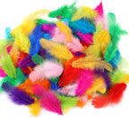 Assorted Colour Feathers for Crafts and DIY Decorations