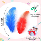Assorted Colour Feathers for Crafts and DIY Decorations