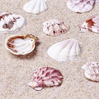 Sea Shells 100g for Crafts & Decoration