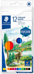 Staedtler 146C Coloured pencils permanent  Set of 12 Color - Al Masam Stationery LLC