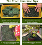 Foam Craft Grass | DIY Decoration