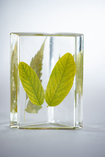 PEBEO KIT CRYSTAL RESIN BIO  750ML - Al Masam Stationery LLC