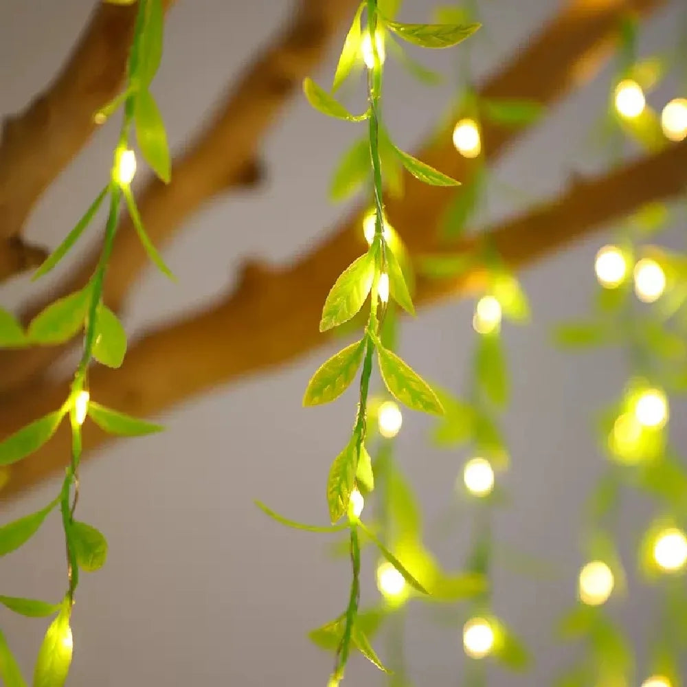 ELMAS 3m 100LED Willow Leaf Vine Lamp USB-Powered - Al Masam Stationery LLC