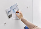 Dahle DHL 95901 Magnetic Magnet for Office, School & Craft Use