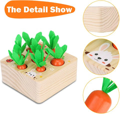 ELMAS Montessori Shape Sorter Carrot Harvest Game Toys