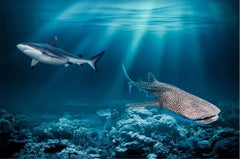ELMAS Beibehang Custom 3D Underwater Floor Painting - Al Masam Stationery LLC