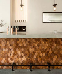 ELMAS Elegant Hexagonal Black Walnut Wall Panel